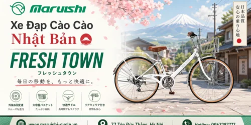 Xe Đạp Cào Cào FRESH TOWN (4)