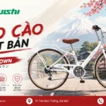Xe Đạp Cào Cào FRESH TOWN (8)