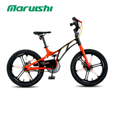 Xe đạp trẻ em ALADIN 16 inches 2