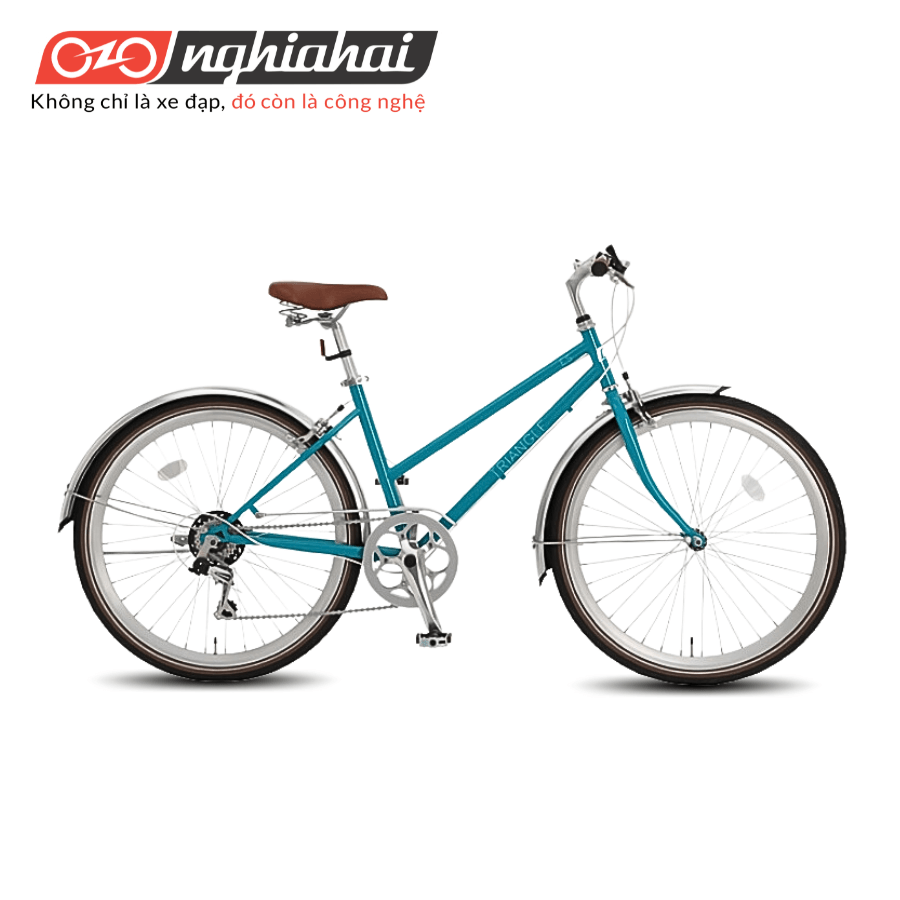 Xe dap the thao TRIANGLE 1 300x300 1 Xe dap the thao TRIANGLE 1 300x300 1