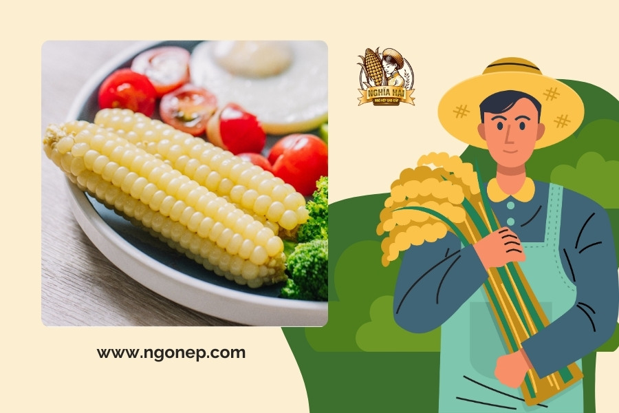 Ngô Nếp Nhật Bản