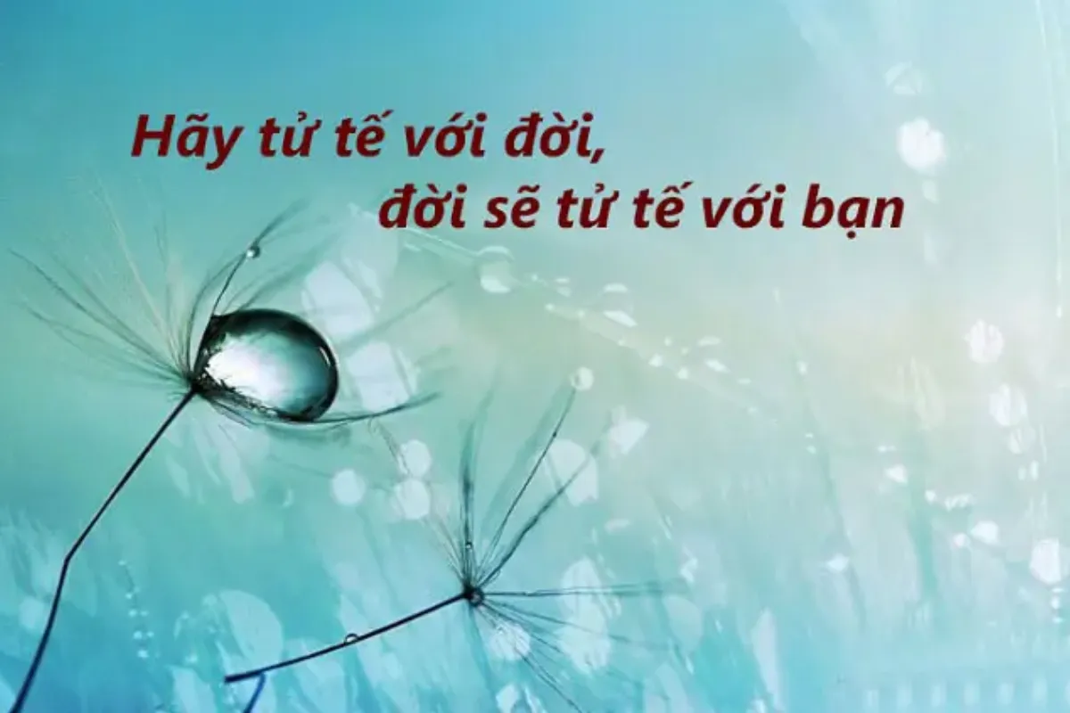 Sống tử tế là gì | Ý nghĩa của tử tế đối với cuộc sống của bạn |