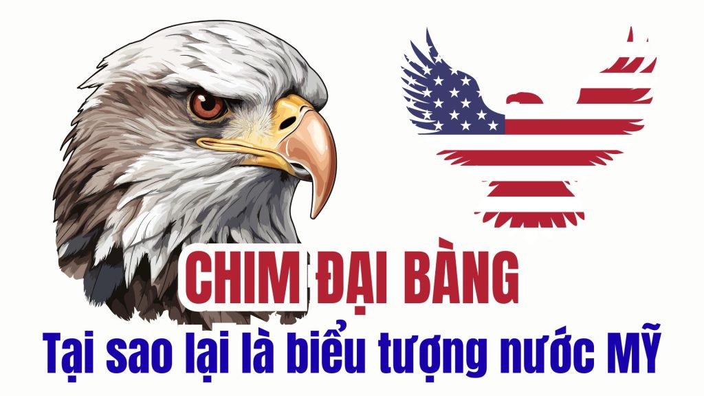 CHIM DAI BANG Tai sao lai la bieu tuong nuoc MY