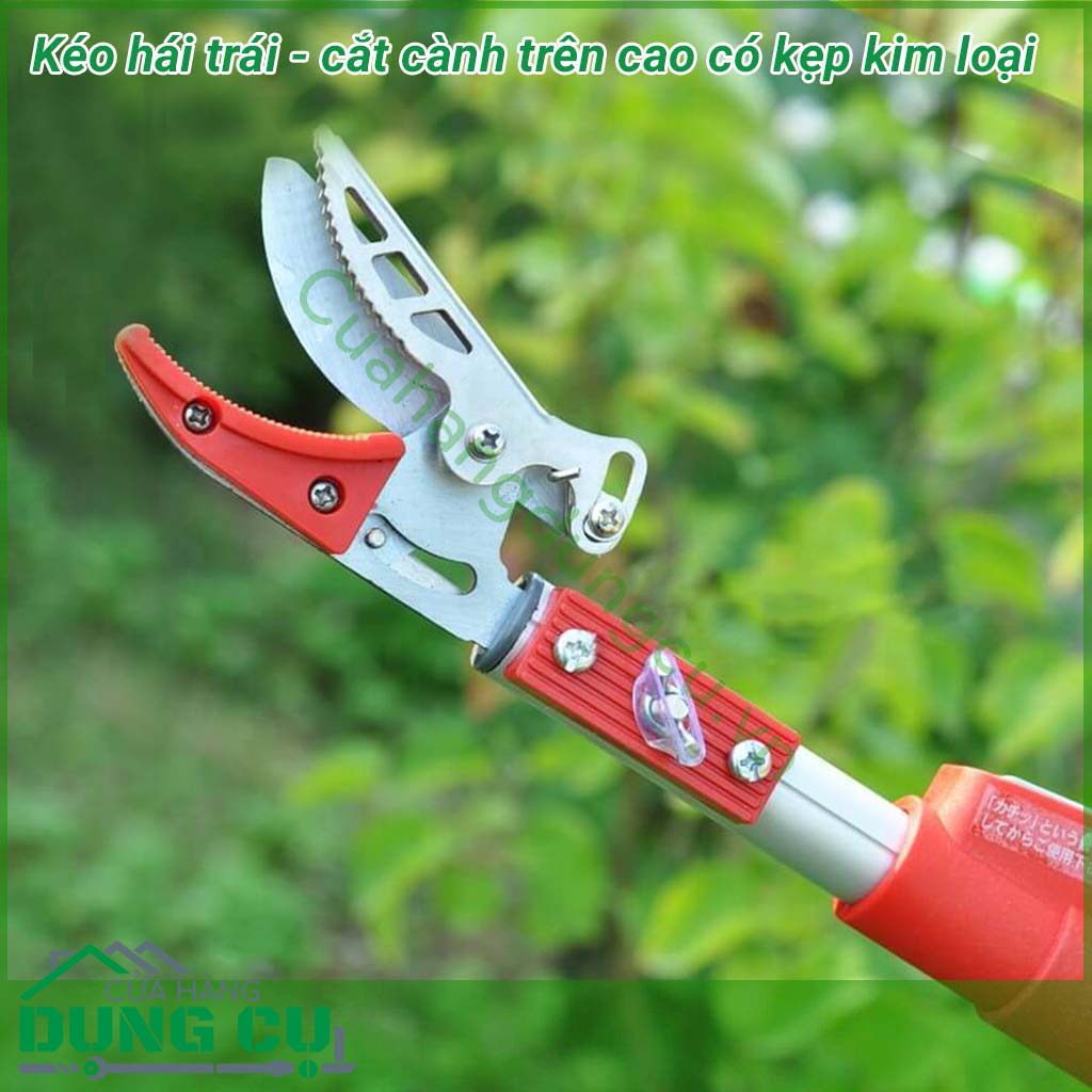 Kéo cắt cành trên cao Gaozhiju Nhật Bản: Lưỡi thép SK5 sắc bén, siêu nhẹ