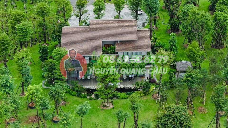 Nhà là Rừng: Retreat Forest – HƠN 300 LOÀI THỰC VẬT cam kết đến khách hàng