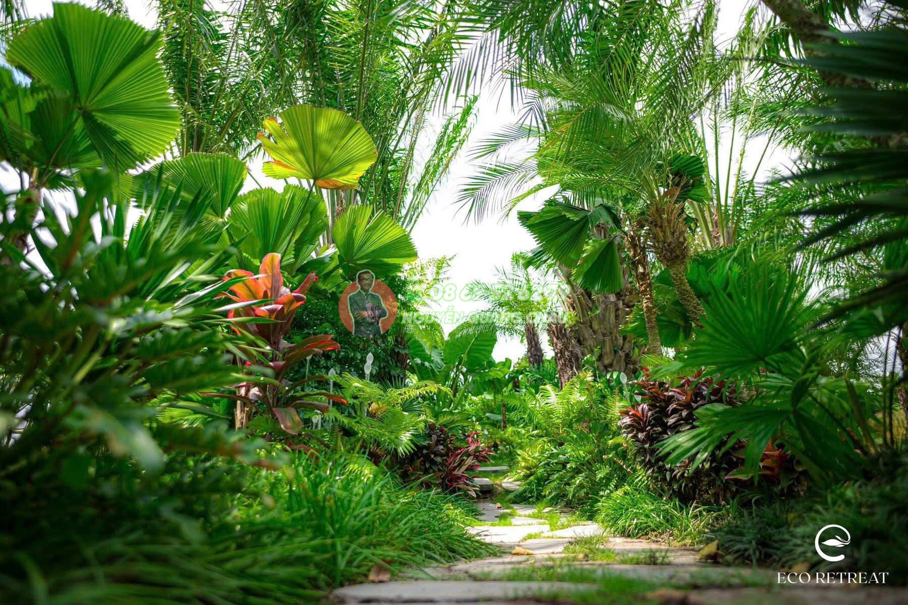 Nhà là Rừng: Retreat Forest – HƠN 300 LOÀI THỰC VẬT cam kết đến khách hàng
