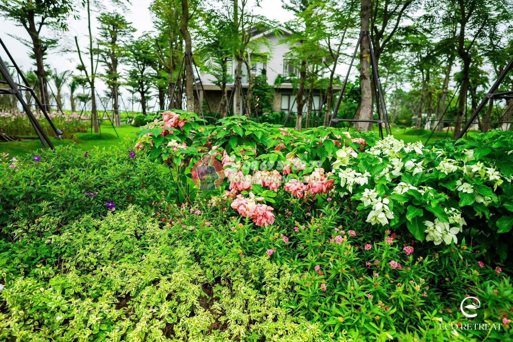 Nhà là Rừng: Retreat Forest – HƠN 300 LOÀI THỰC VẬT cam kết đến khách hàng