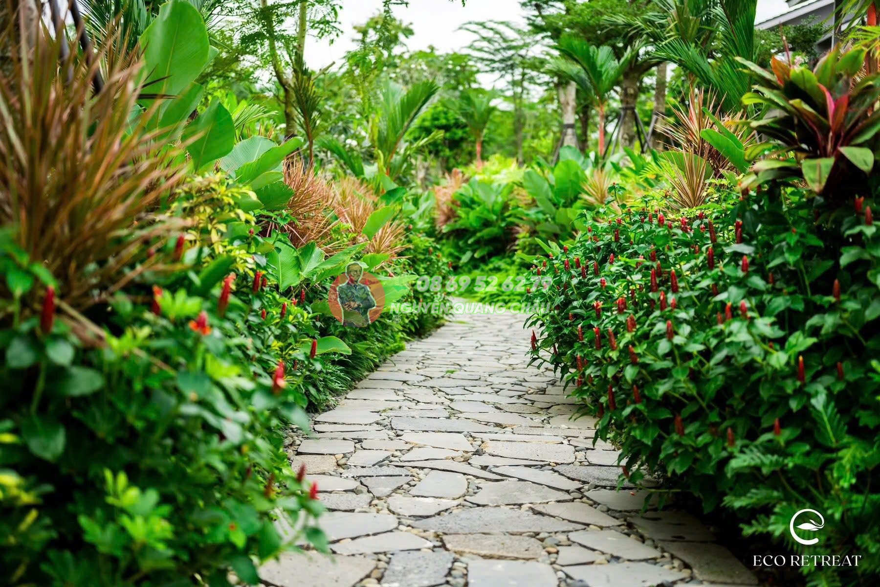 Nhà là Rừng: Retreat Forest – HƠN 300 LOÀI THỰC VẬT cam kết đến khách hàng