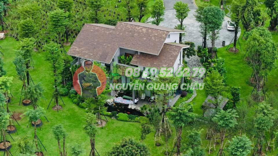 Nhà là Rừng: Retreat Forest – HƠN 300 LOÀI THỰC VẬT cam kết