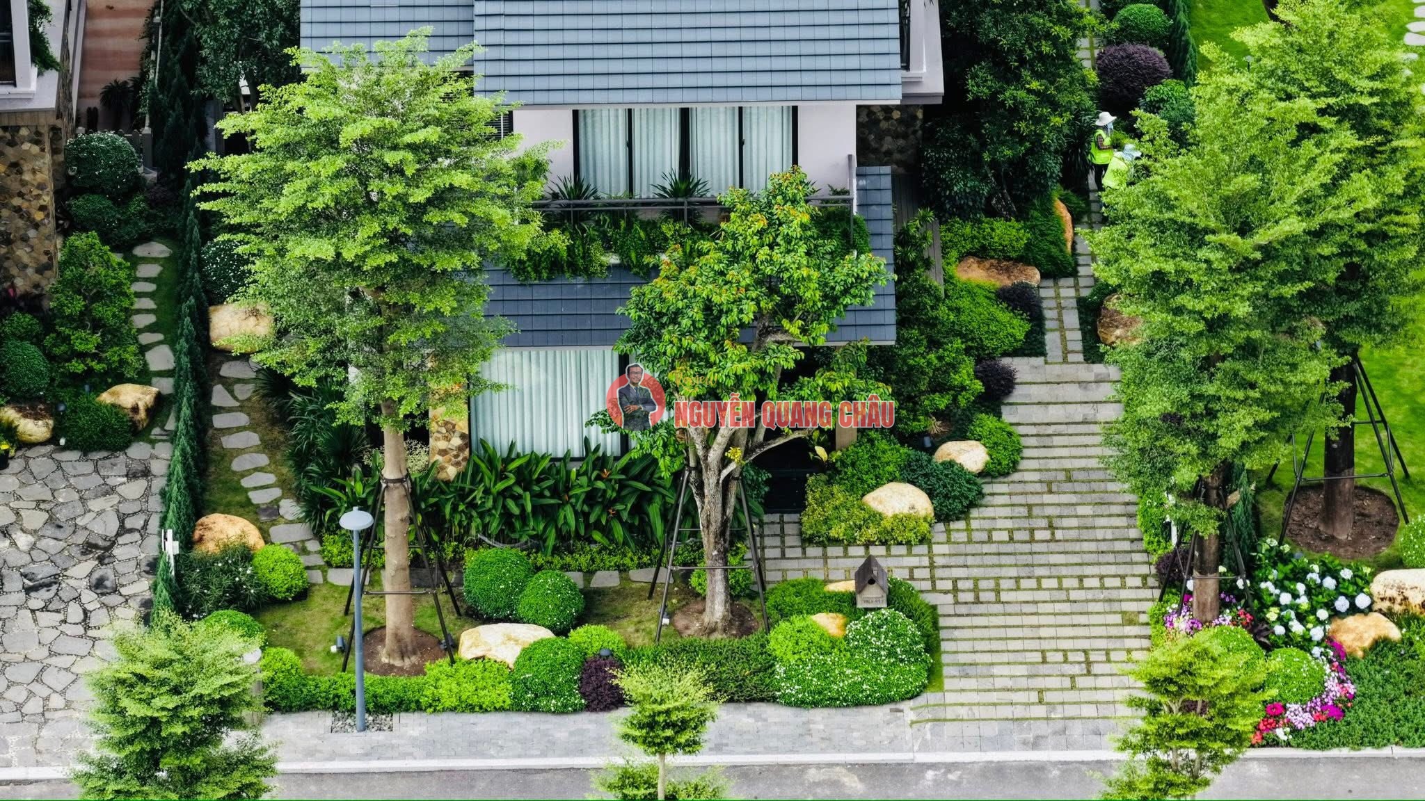 RỪNG là NHÀ tìm về Retreat Forest: Thư mời Quý anh chị tham quan