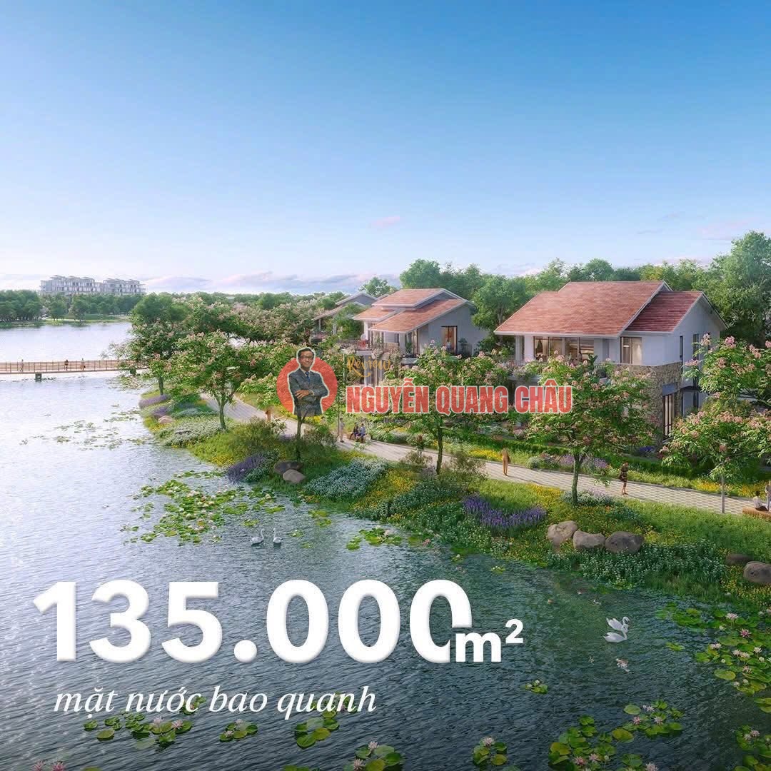 RỪNG là NHÀ tìm về Retreat Forest: Thư mời Quý anh chị tham quan