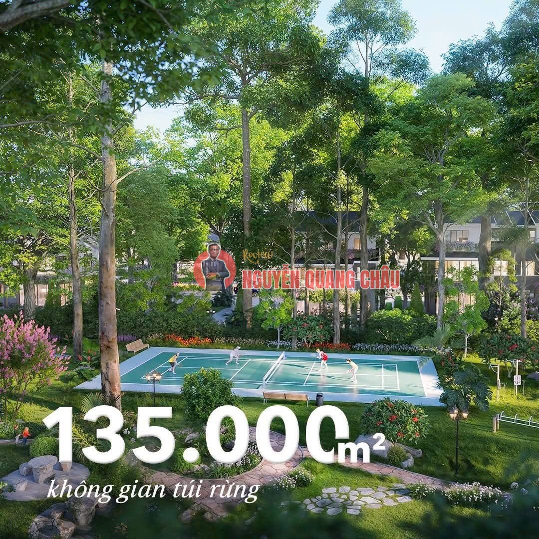 RỪNG là NHÀ tìm về Retreat Forest: Thư mời Quý anh chị tham quan