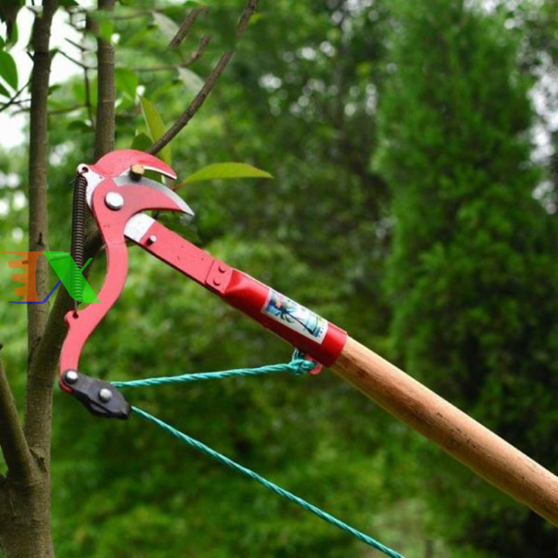 Kéo Cắt Cành Trên Cao: Giải Pháp Tối Ưu Cho Khu Vườn Của Bạn