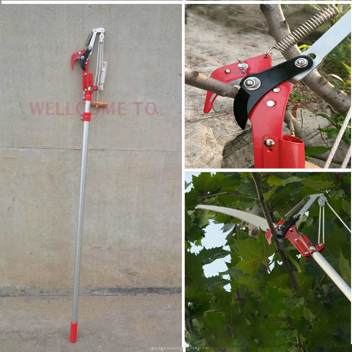 Kéo Cắt Cành Trên Cao: Giải Pháp Tối Ưu Cho Khu Vườn Của Bạn