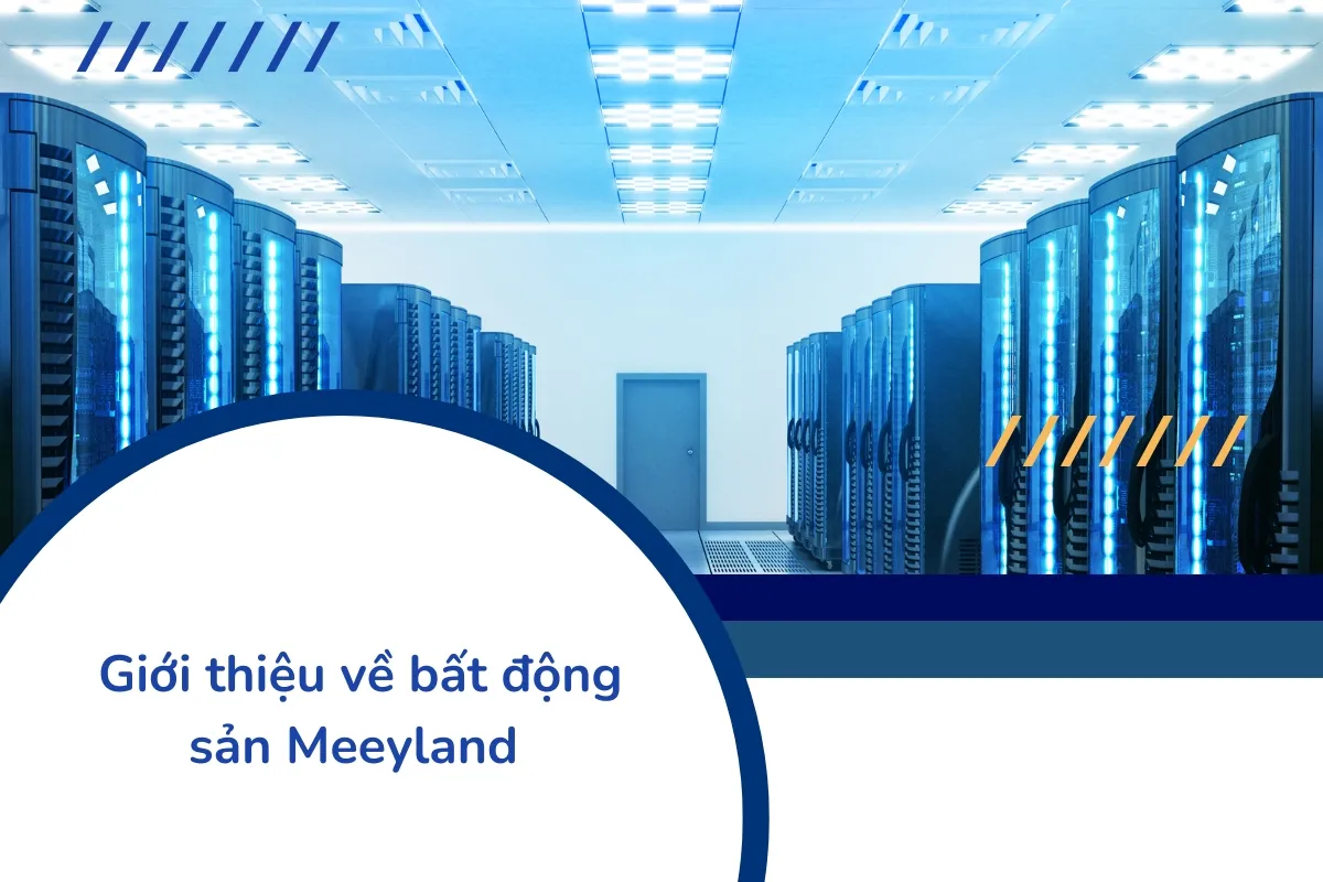 Tổng quan về hệ sinh thái Meeyland