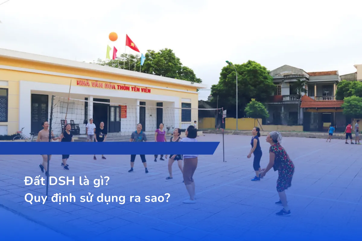 Đất DSH là gì Quy định sử dụng ra sao