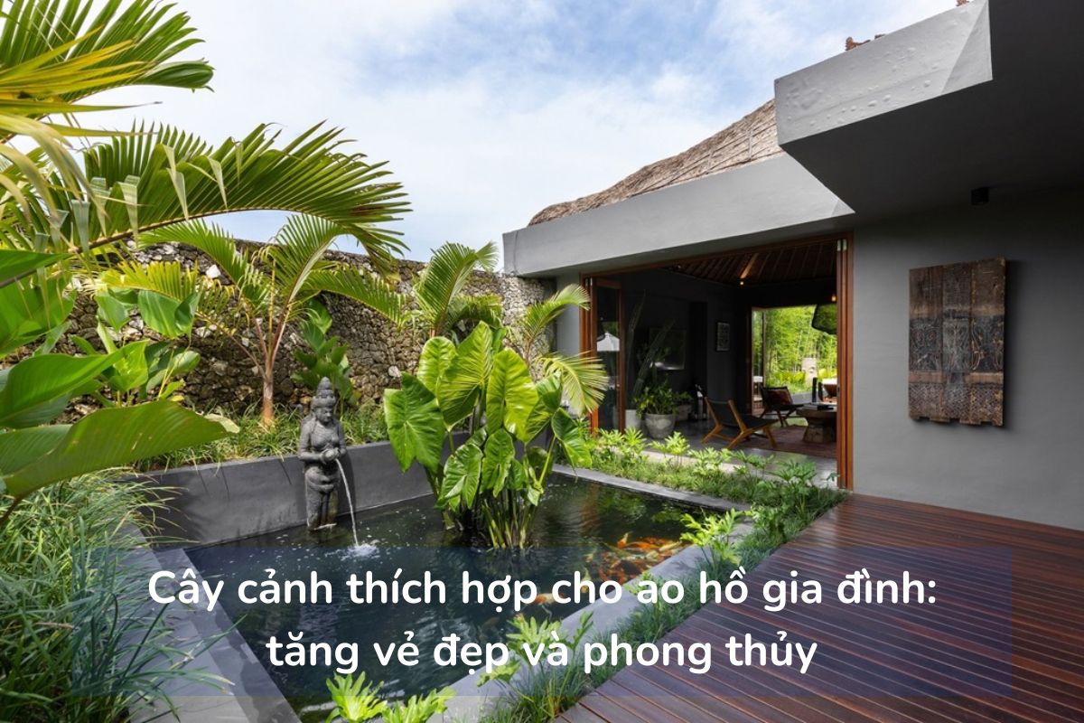 Cây cảnh thích hợp cho ao hồ gia đình tăng vẻ đẹp và phong thủy