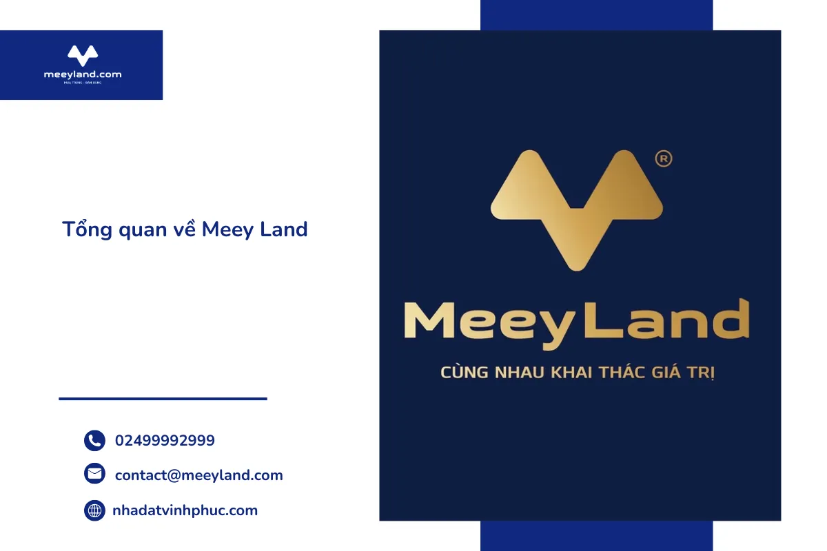 Tổng quan về Meey Land