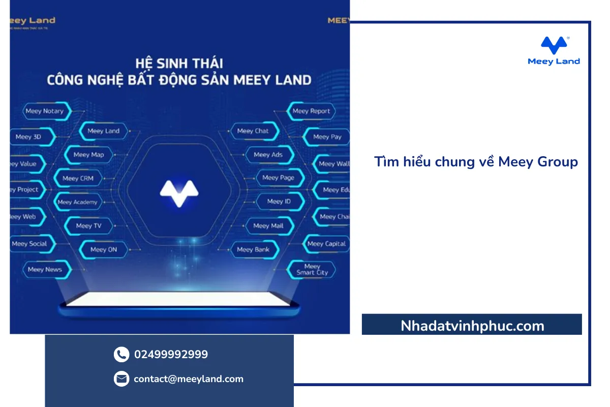 Tìm hiểu chung về Meey Group