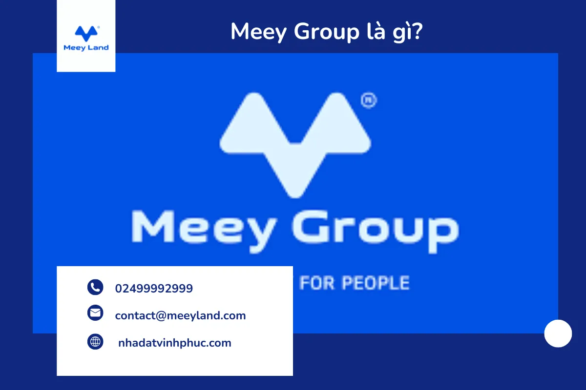 Meey Group là gì?