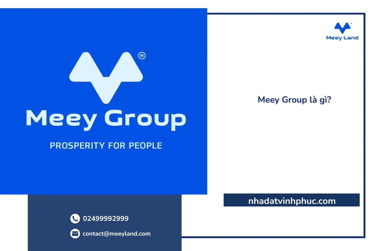Meey Group là gì?