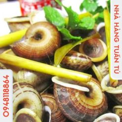 Ốc núi hấp mẻ