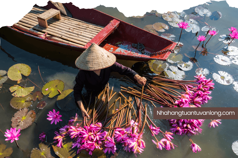 Du lịch đầm Vân Long ăn ở đâu ngon gần Emeralda 