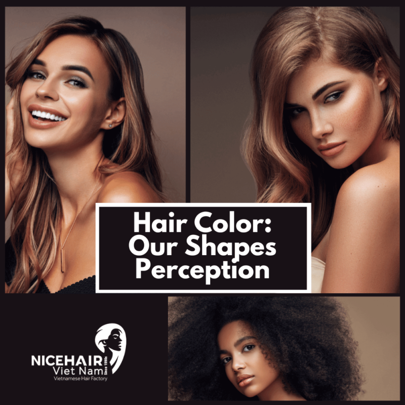 Hair Color: Our Shapes Perception