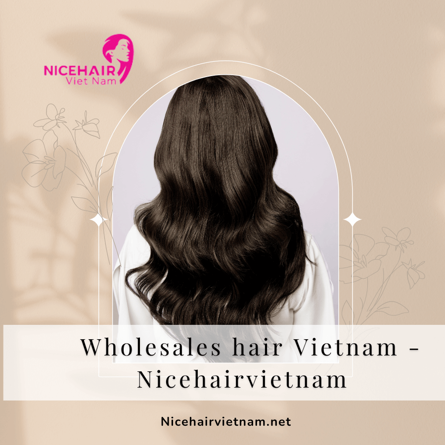 Wholesales hair Vietnam - Nicehairvietnam