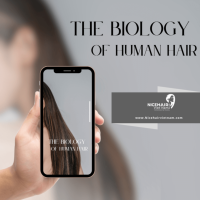 The biology of human hair
