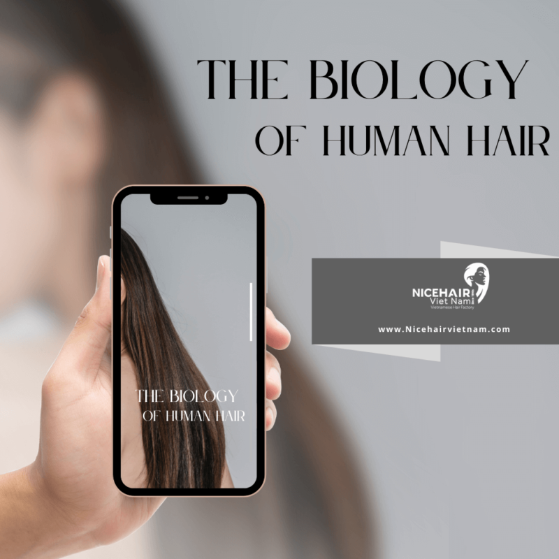 The biology of human hair