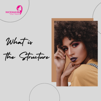 Unlocking the Secrets: Exploring the Structure and Growth Process of Hair