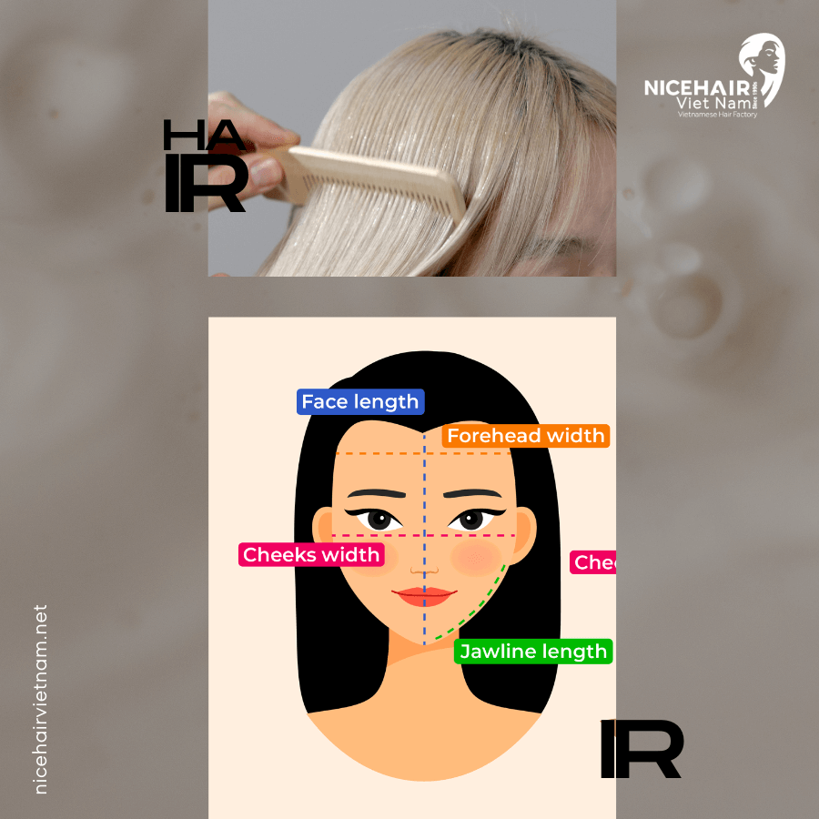 Proportions of cheekbones and jawline width