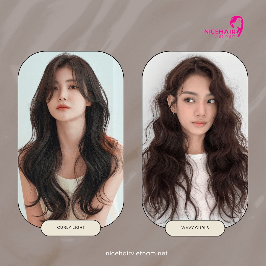 Standard of K-Pop stars' hair 