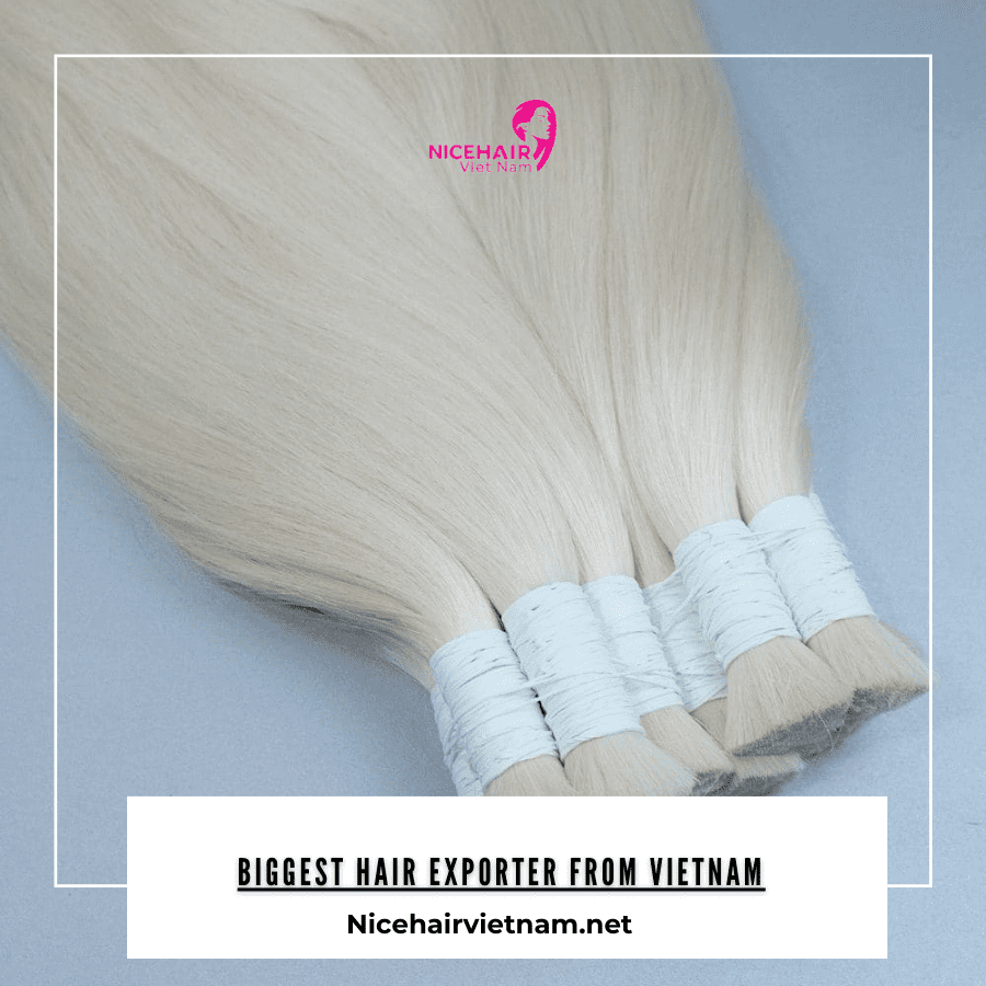 Biggest Hair Exporter from Vietnam