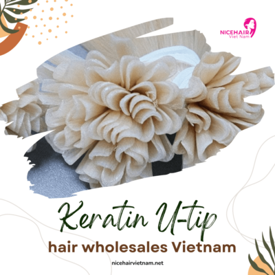 Keratin U-tip hair wholesales Vietnam