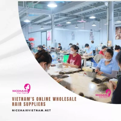 Vietnam's Online Wholesale Hair Suppliers