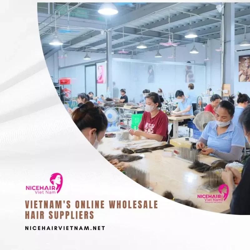 Vietnam's Online Wholesale Hair Suppliers
