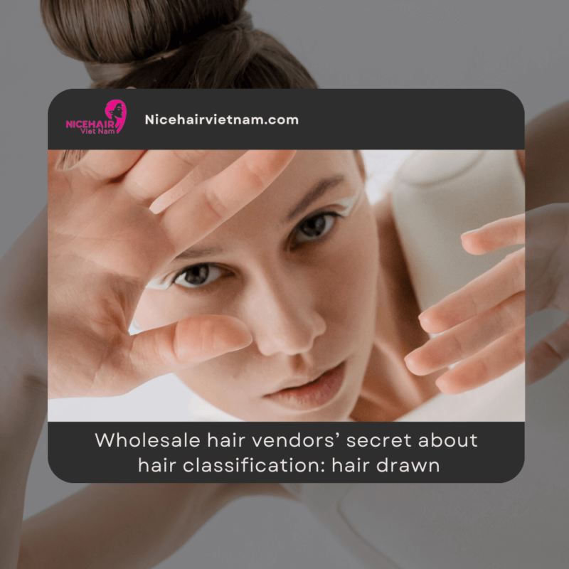 Wholesale hair vendors’ secret about hair classification: hair drawn