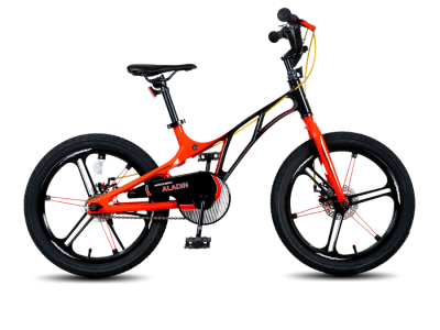 Xe đạp trẻ em Aladin 18 inh