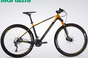 Lựa chọn xe đạp khung sợi cacbon và titan?