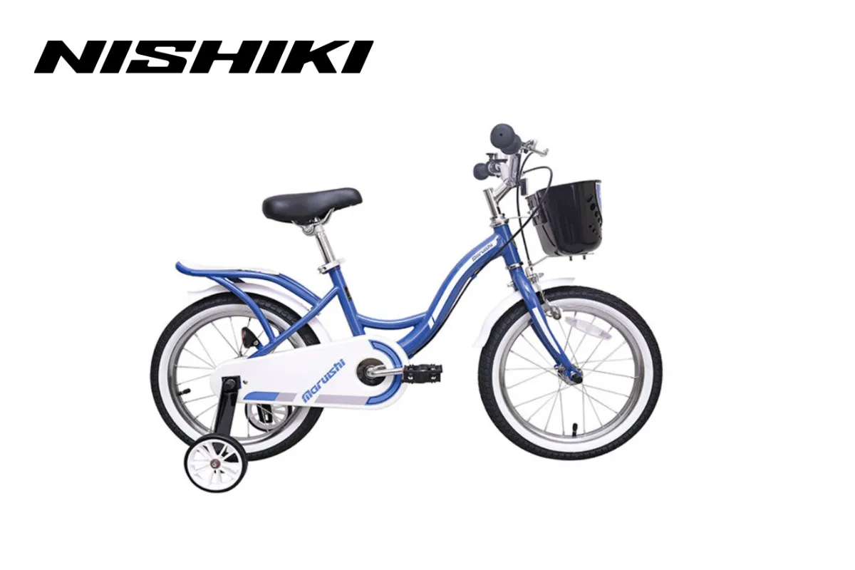 xe đạp cho trẻ em màu xanh trắng 