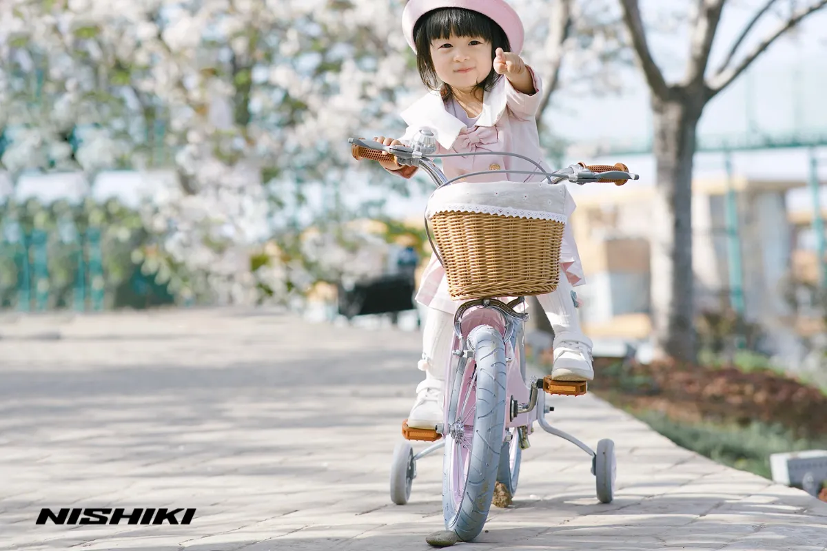 Bé 2 - 10 tuổi nên chọn xe đạp nào? Bé 2 - 10 tuổi nên chọn xe đạp nào?