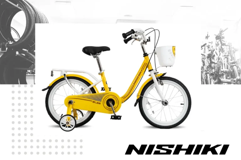 Top 4 xe đạp trẻ em 16 inch tốt nhất trên thị trường