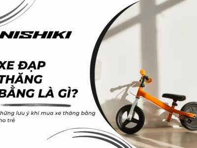 Xe đạp thăng bằng là gì? Những lưu ý khi mua xe thăng bằng cho trẻ