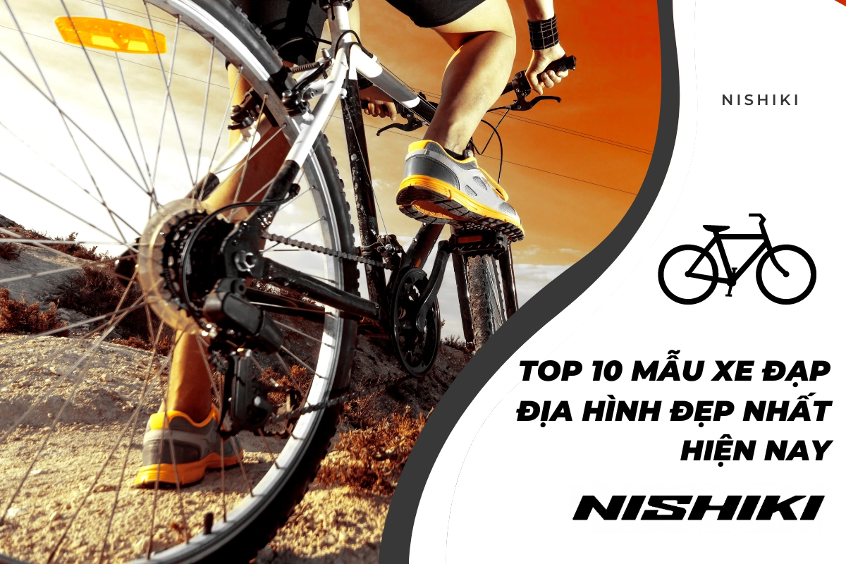 TOP 10 mẫu xe đạp địa hình đẹp nhất hiện nay