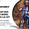 Xe đạp địa hình băng đồng (Cross Country Bike - XC): Chinh phục mọi thử thách
