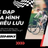 Tìm hiểu về xe đạp địa hình phiêu lưu (Freeride Mountain Bike)