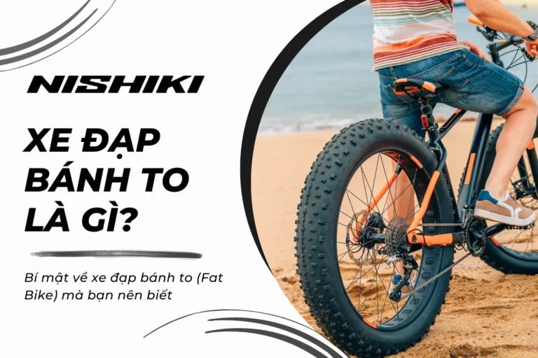 Bí mật về xe đạp bánh to (Fat Bike) mà bạn nên biết