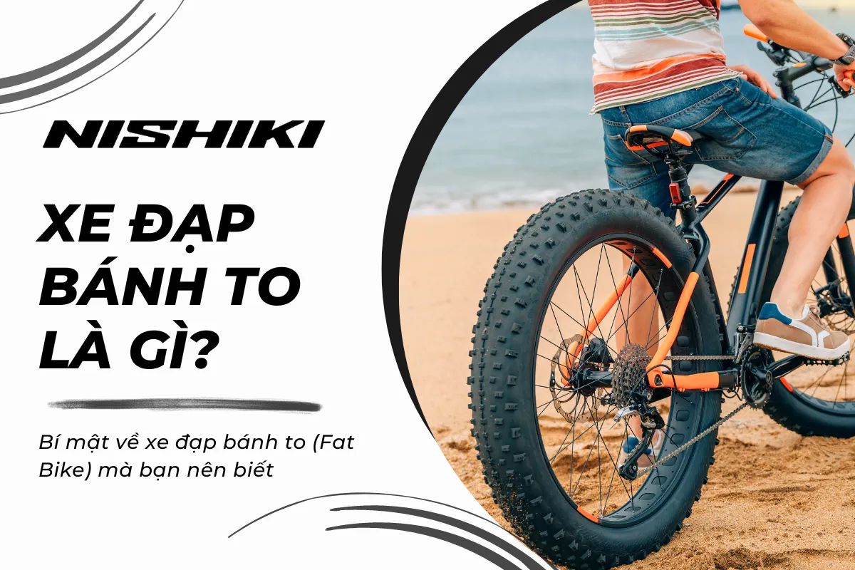 Bí mật về xe đạp bánh to (Fat Bike) mà bạn nên biết